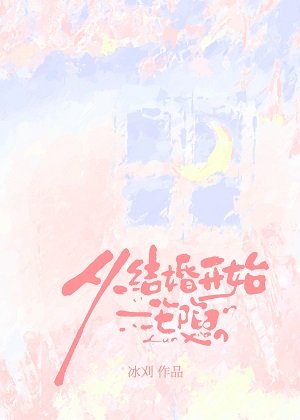 从结婚开始沦陷